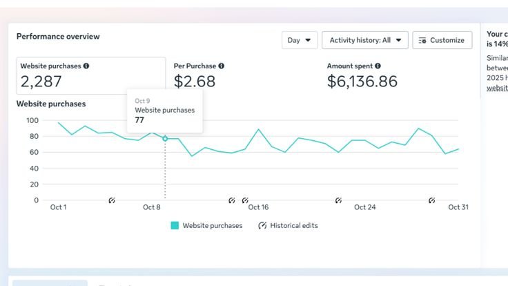 Meta Ads Facebook and Instagram performance overview