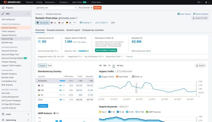 SEO domain overview showing organic traffic growth